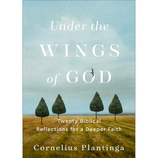 Under The Wings Of God: Twenty Biblical Reflections For A Deeper Faith (Paperback)