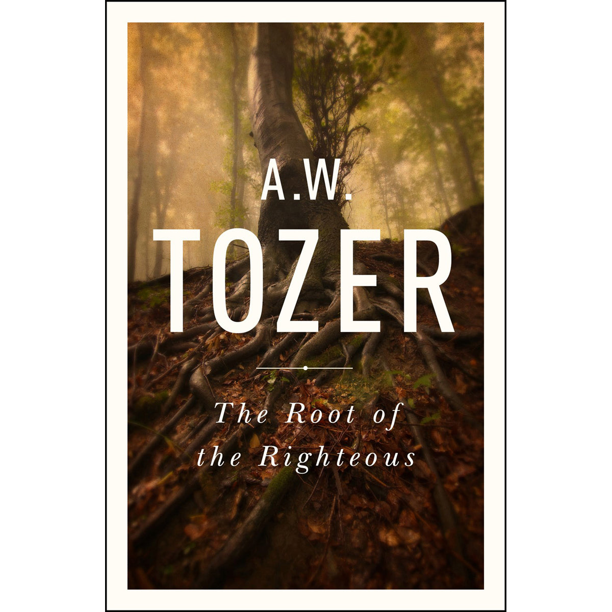 The Root Of The Righteous (Paperback)