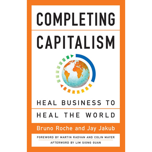 Completing Capitalism: Heal Business To Heal The World (Paperback)