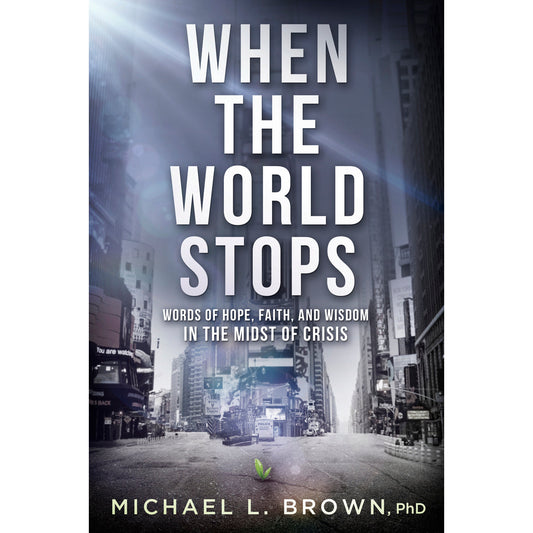 When The World Stops: Words Of Hope, Faith, And Wisdom In The Midst Of Crisis (Paperback)