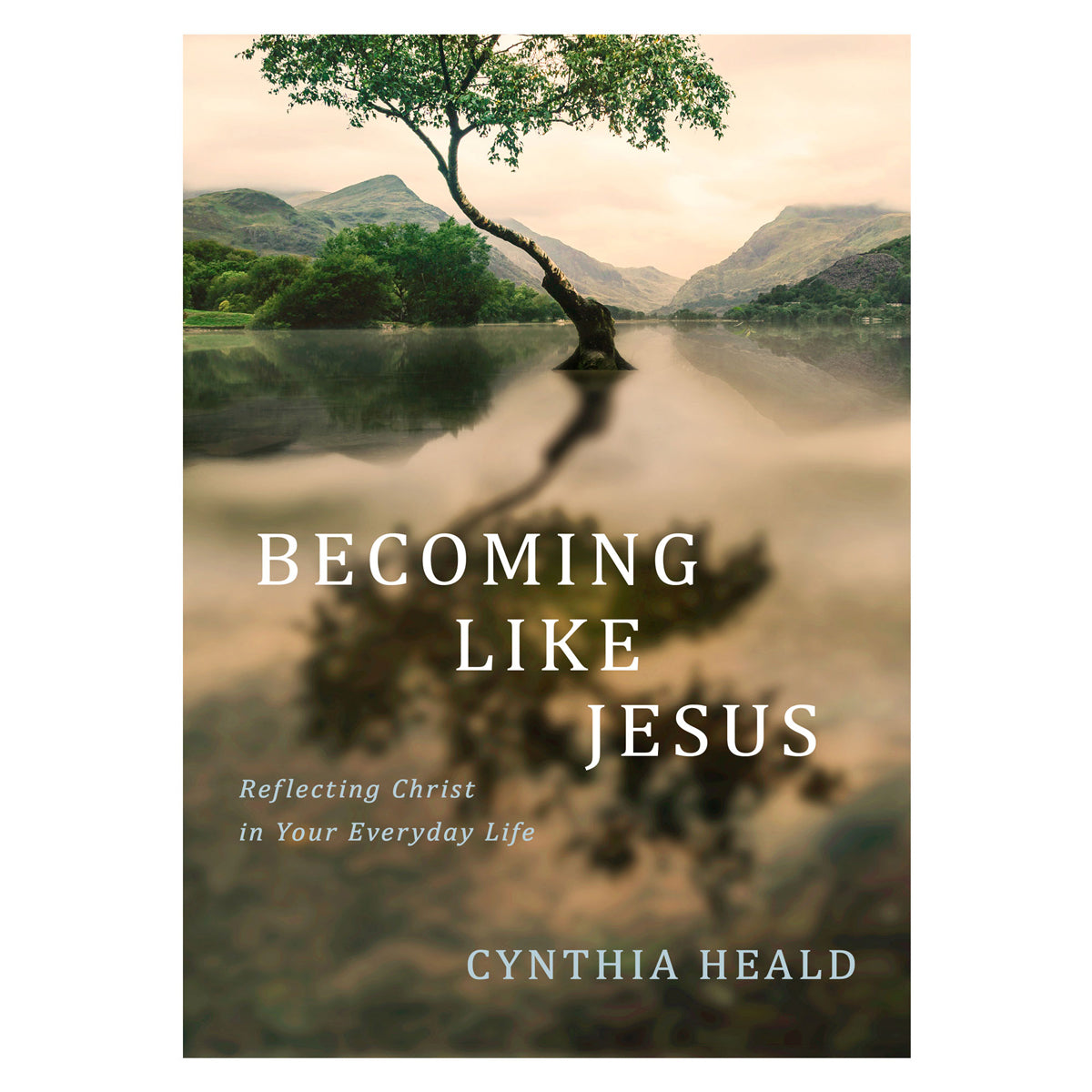 Becoming Like Jesus: Reflecting Christ in Your Everyday Life (Paperback)