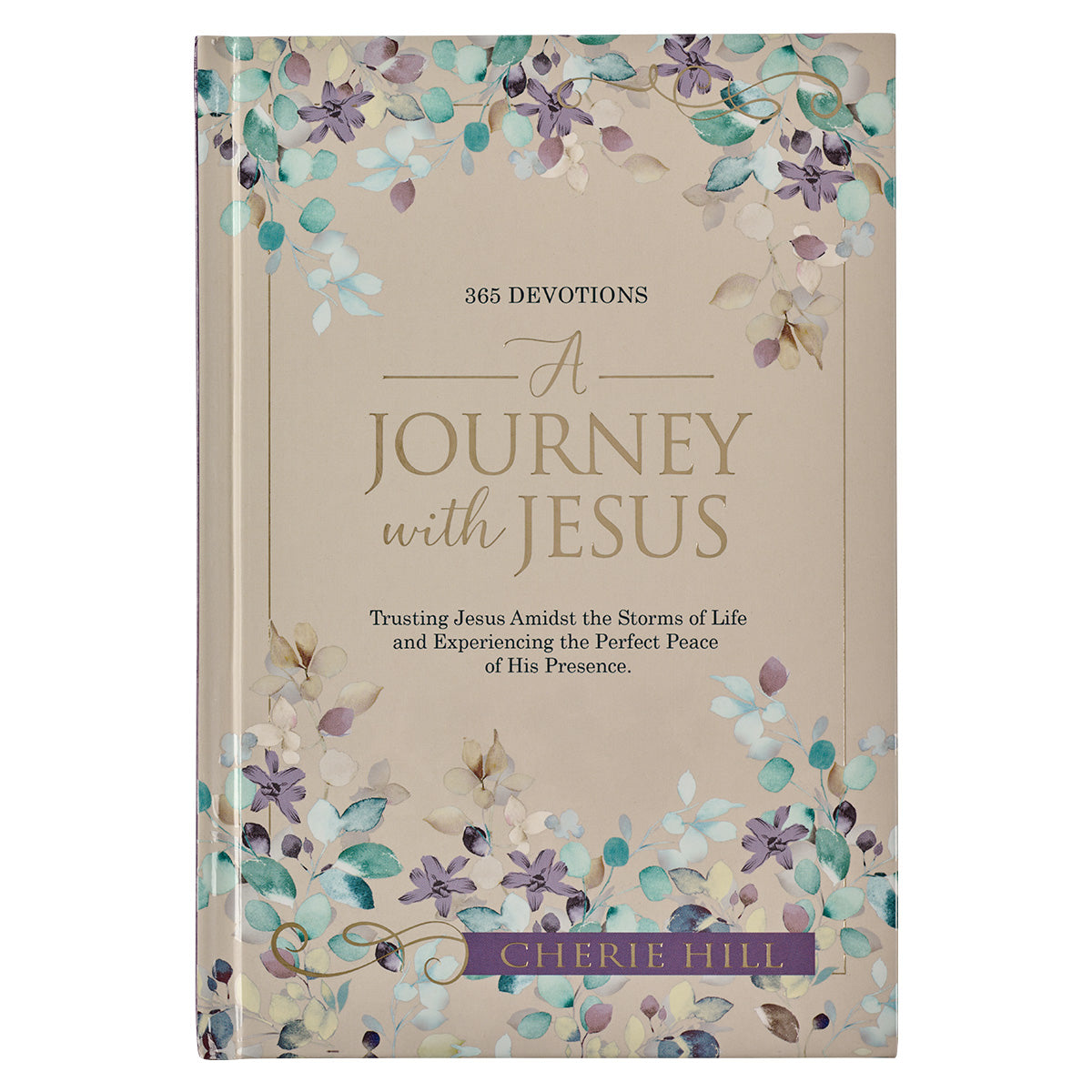 A Journey With Jesus (Hardcover)