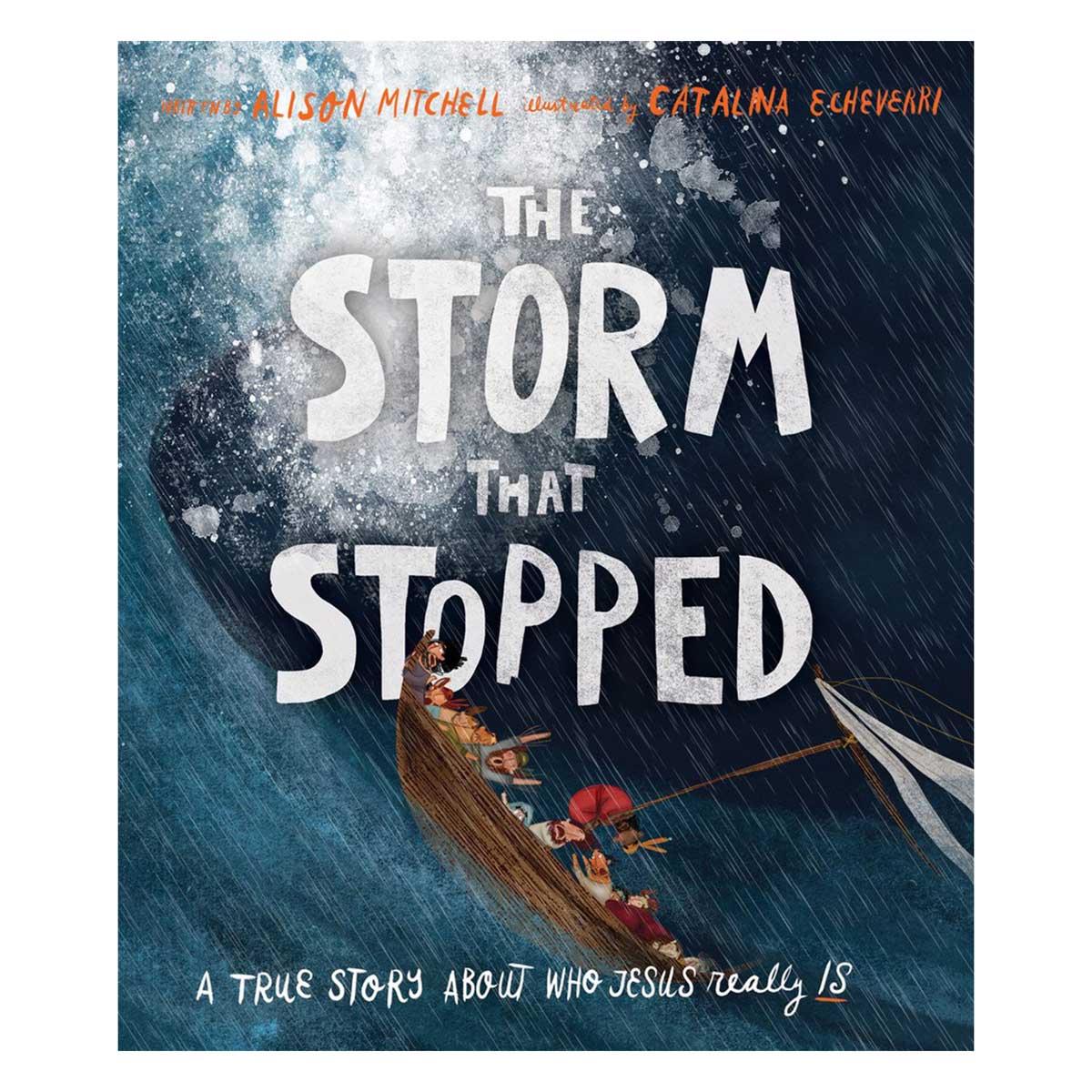 The Storm That Stopped Storybook - 10 Tales That Tell the Truth (Hardcover)