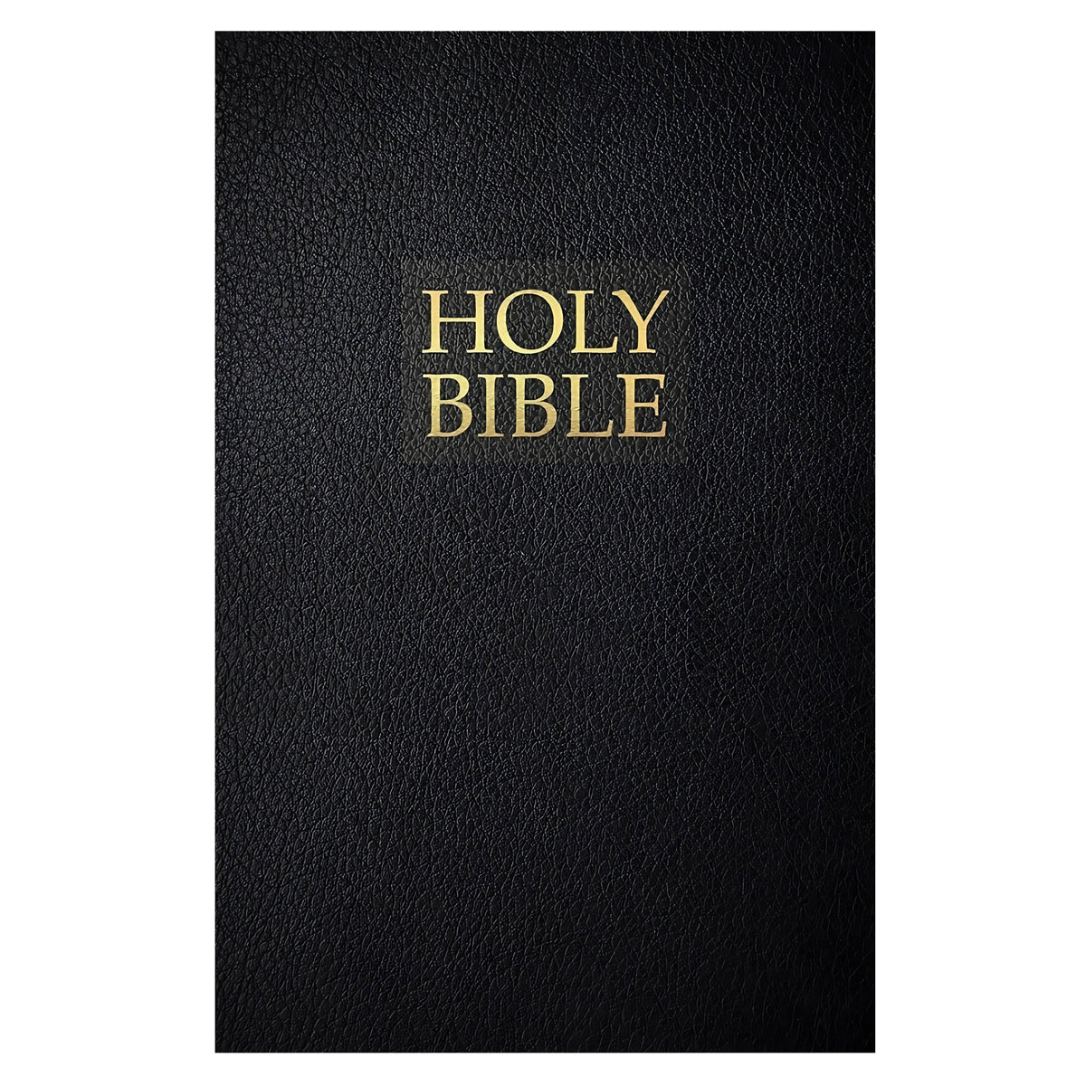 KJVER Black Imitation Leather Gift and Award Holy Bible